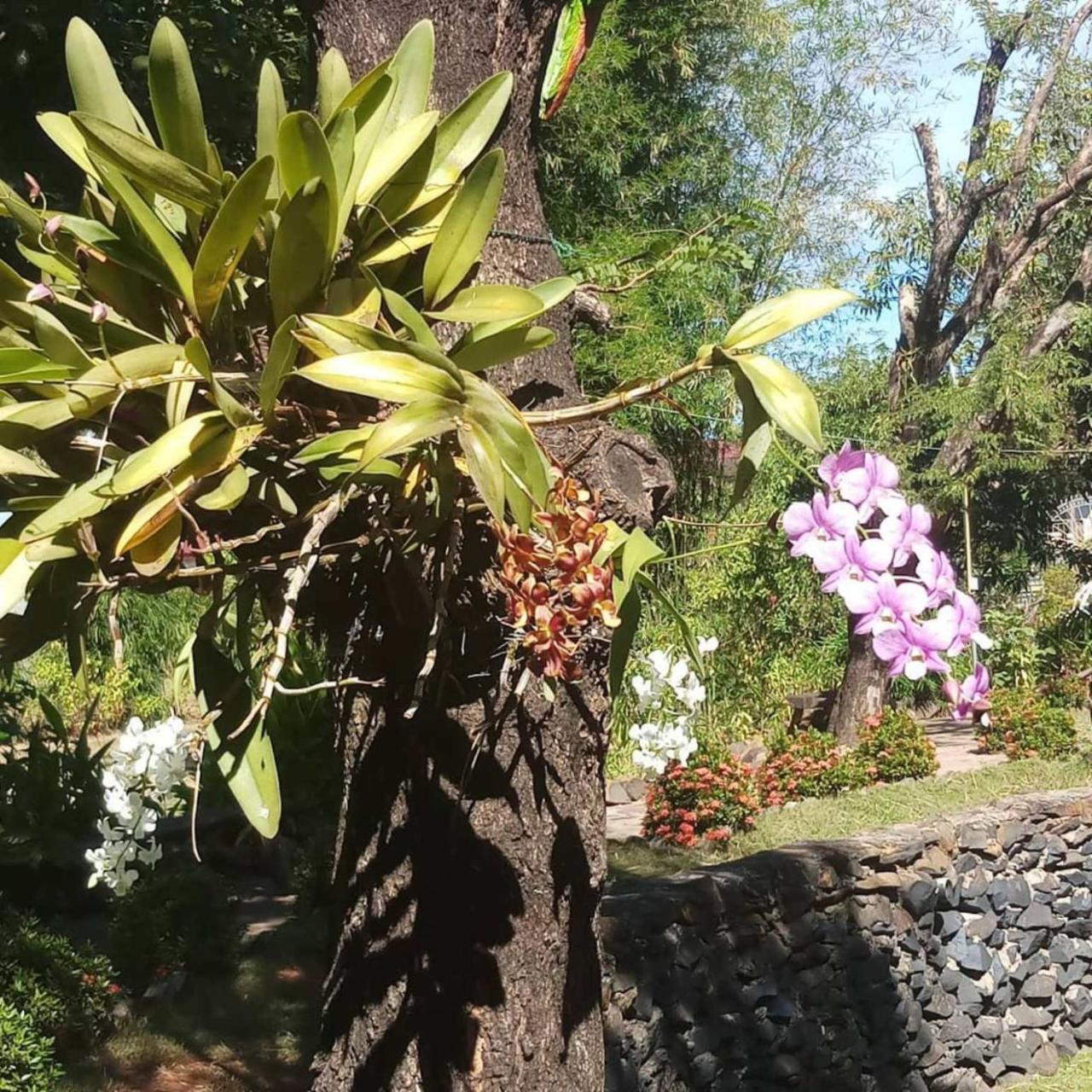 Xuanmai Garden Resort Pakse Ngoại thất bức ảnh